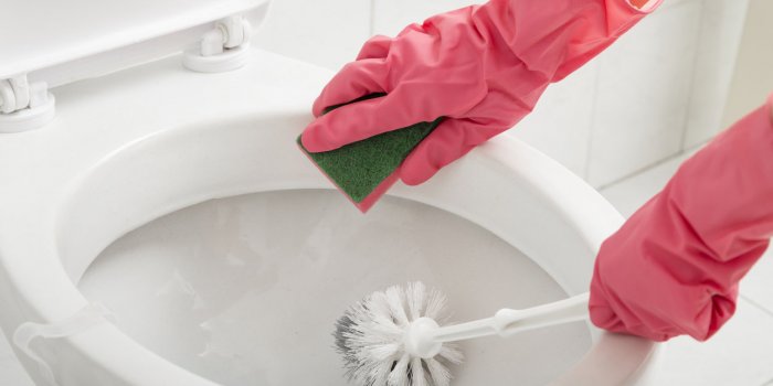 Toilettes : l'astuce de la pastille de lave-vaisselle pour le ménage