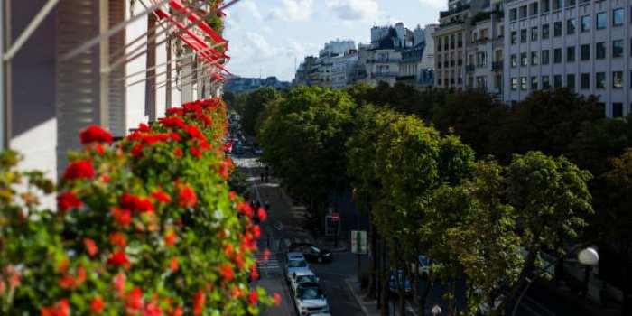 Top 10 des rues les plus ch&egrave;res de Paris