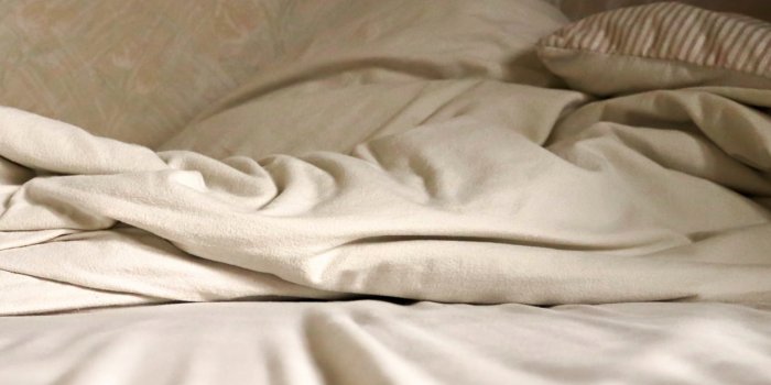 Cinq choses que vous devez absolument savoir sur les punaises de lit