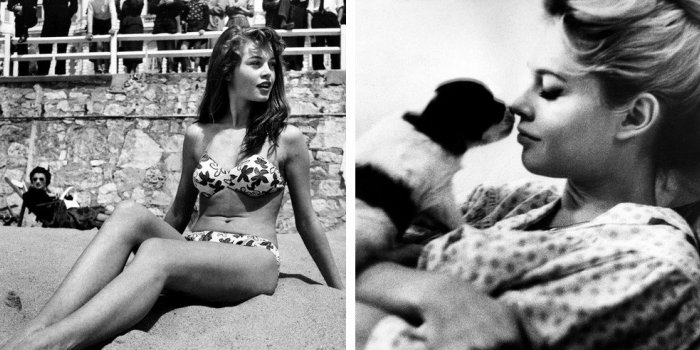 Brigitte Bardot f&ecirc;te ses 87 ans : ses photos jeunes que vous aviez oubli&eacute;es