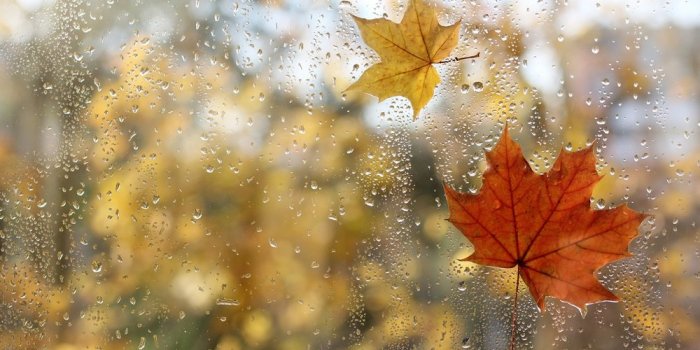 Pluie la semaine prochaine : les d&eacute;partements o&ugrave; l&rsquo;automne est bel et bien l&agrave;