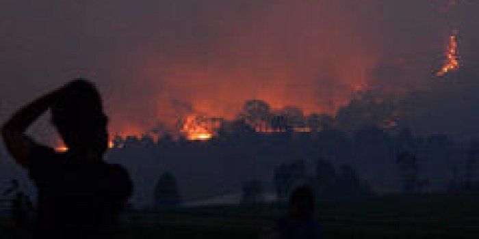 Les images des incendies ravageurs en Australie