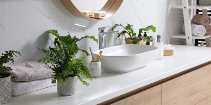5 plantes pour une salle de bain sans fen&ecirc;tre