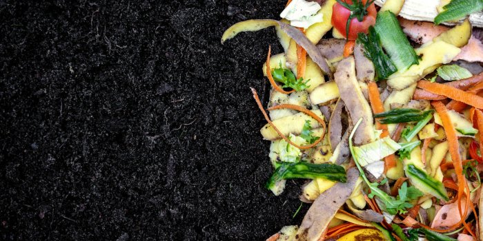 Compost : que mettre au fond ?