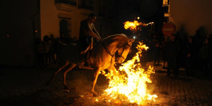En images : au festival Luminarias, les animaux sont b&eacute;nis par le feu 