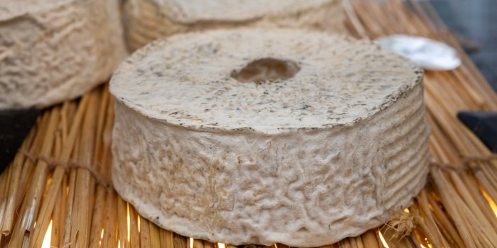 Rappel de fromage : les points de vente où il faut le rapporter