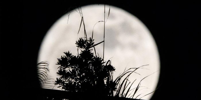 Les incroyables images de la super Lune qu&rsquo;il ne fallait pas louper