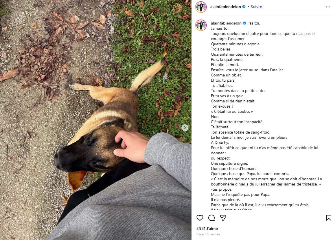 Instagram Alain-Fabien Delon