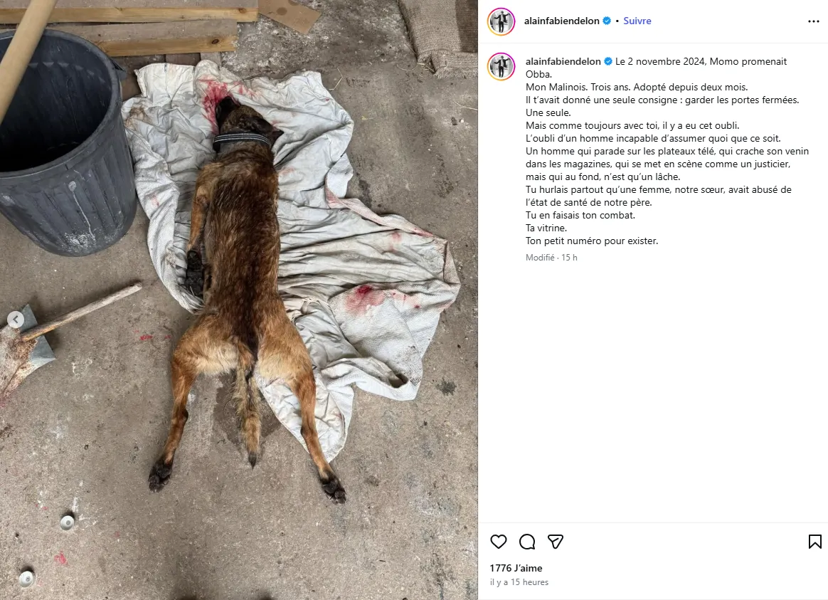 Instagram Alain-Fabien Delon