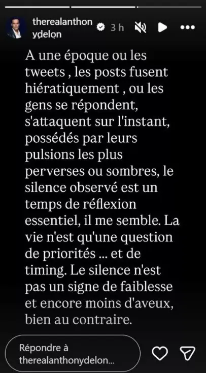 Instagram Anthony Delon
