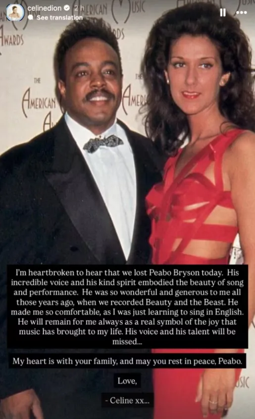 Instagram Céline Dion