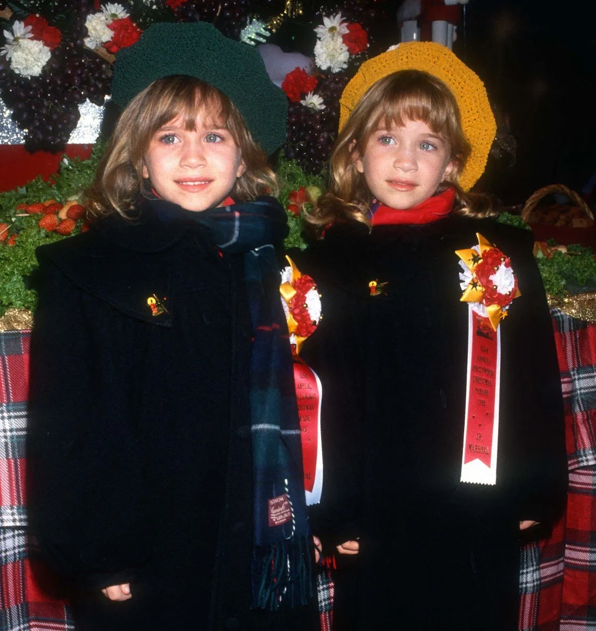mary-kate olsen and ashley olsen on 1993 michael ferguson photolink everett collection  abacapresscom <motcle99> file archives file picture press photographer journalist media television < motcle99>
