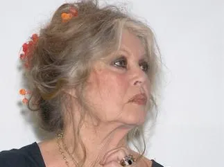 l'actrice française brigitte bardot lors de la cérémonie de clôture du 6ème festival de la fiction télé à saint-tropez le 18 septembre 2004 photo de giancarlo gorassini abaca