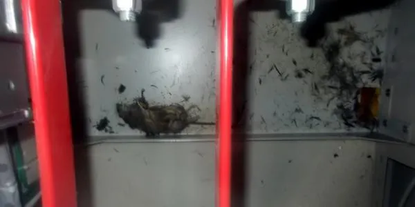 japon catastrophe accident nucléaire énergie