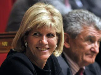 assemblée politique de france