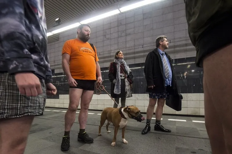 czech lifestyle subway no pants