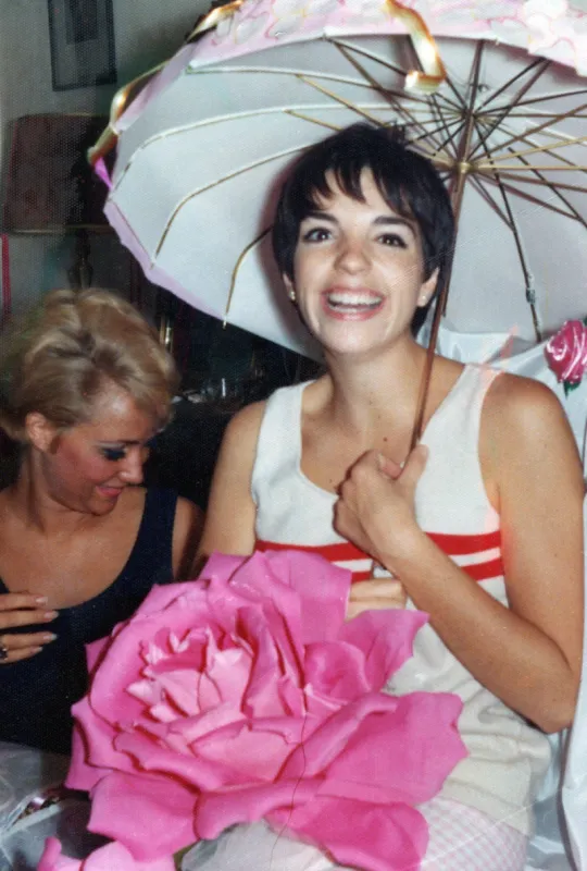 liza minnelli pictured at her first baby shower september 1966 in new york city linda wells pictured in the background photo by nancy barr brandon mediapunch  abacapresscom , 714856 058 new york etats-unis united states