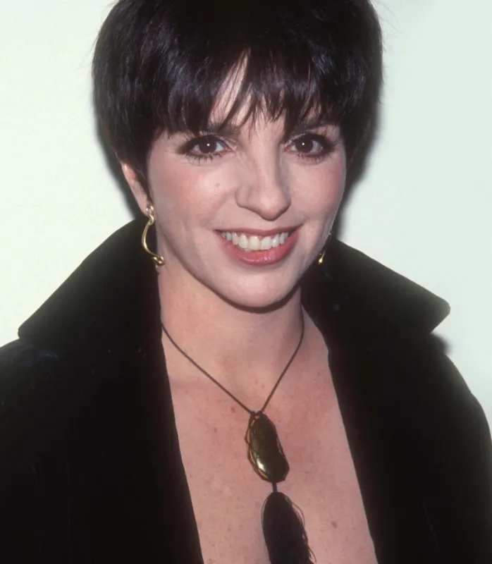 liza minnelli on 1991 photo by adam scull photolink everett collection  abacapresscom <motcle99> file archives file picture press photographer journalist media < motcle99>
