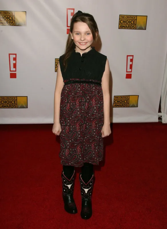 the 12th annual critics choice awards