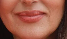 state dinner at the elysee - paris