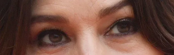 state dinner at the elysee - paris