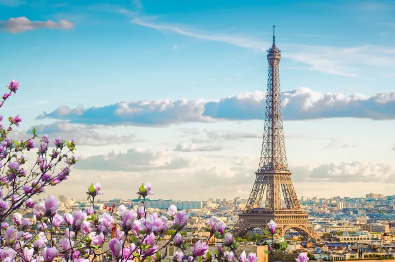 famous eiffel tower and paris roofs with spring tree, paris france