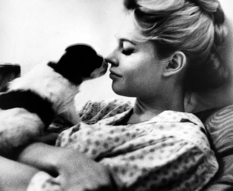 file photo of brigitte bardot, 1958 photo by everett abacapresscom