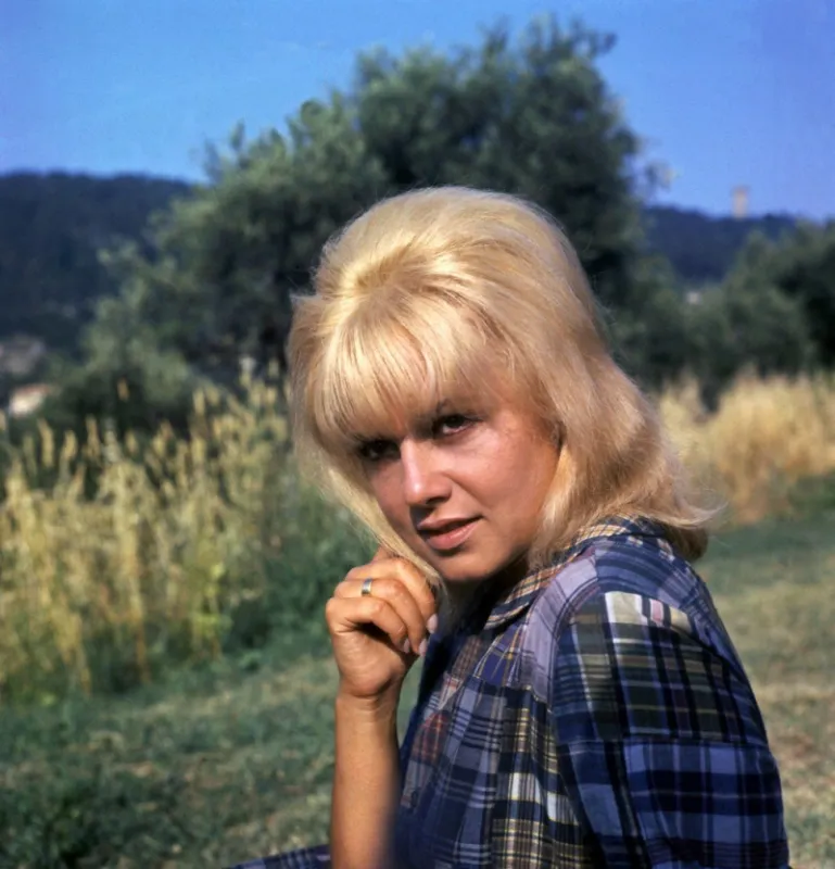 cinema-sophie daumier