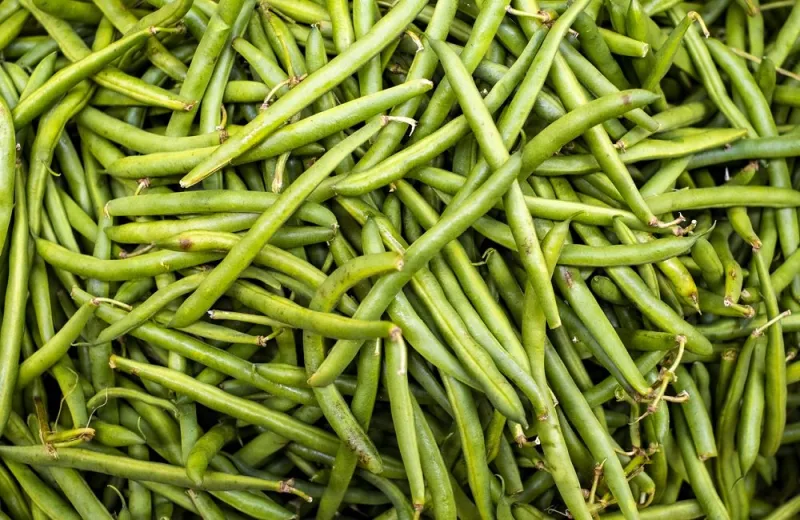 fresh string beans at the supermarket - top down