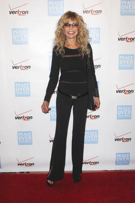 dyan cannon attending the 40th annual humanitarian awards at beverly hills hotel in beverly hills, los angeles, ca, usa on october 28, 2011 photo by apega abacapresscom