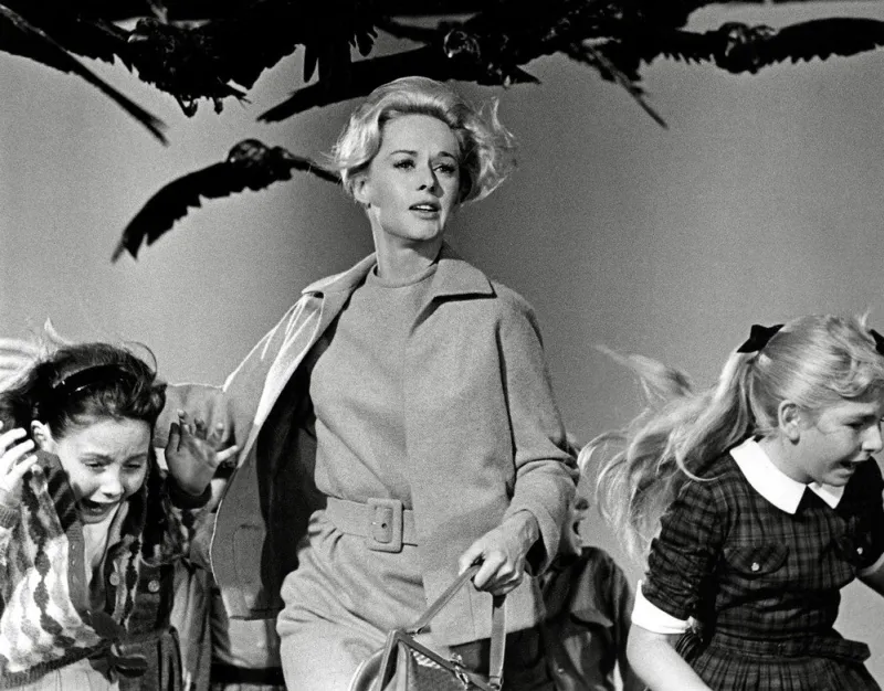 tippi hedren, in the movie the birds , 1963 photo by photoshot abacapresscom <motcle99> archive (photos) archives (photos) file archives file picture noir et blanc black-and-white photograph < motcle99> , 569420 003 hollywood