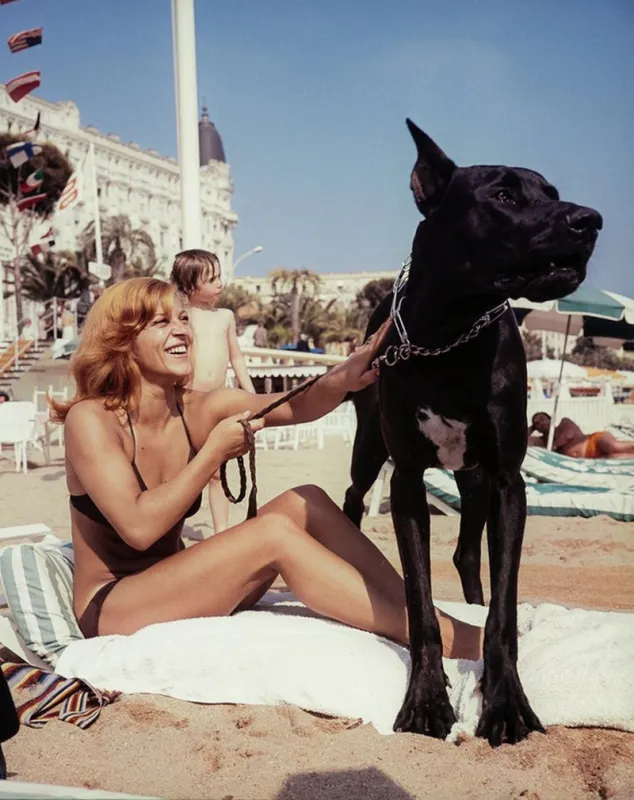 french singer nicoletta poses with her dog titus, on may 15, 1961, on the beach of cannes, during the cannes film festival (photo by pierre gatti   afp)