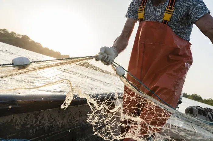 dynamic composition with a fisherman dressed in an orange rompers gathering his trammel net during a fishing trip on the danube river