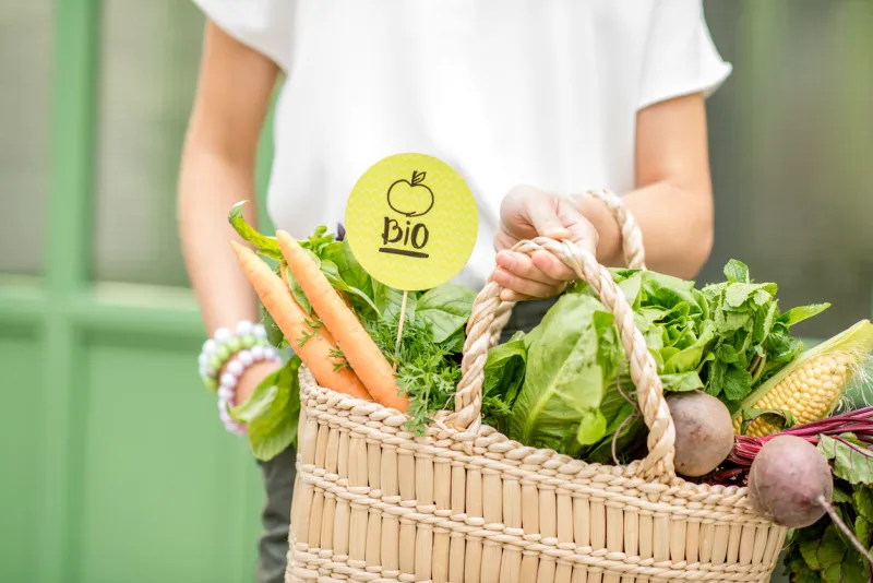 holding bag full of fresh organic vegetables with green sticker from the local market on the green background