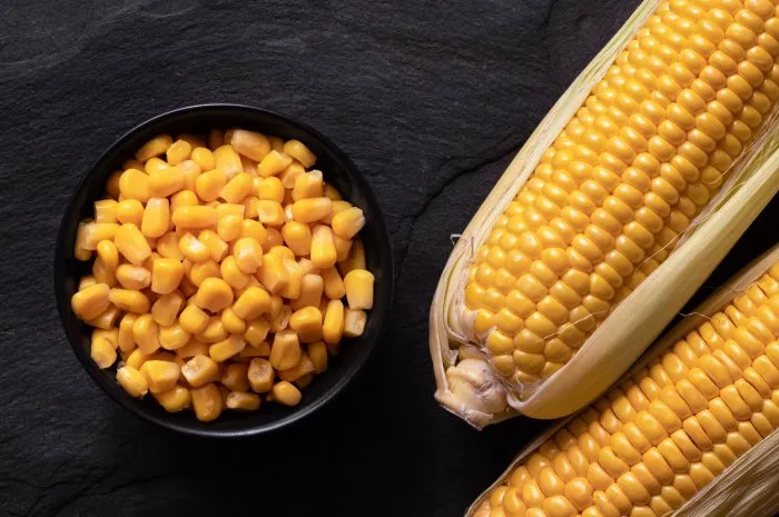 canned sweet corn in a black ceramic bowl next to two corn cobs in husks on black slate top view