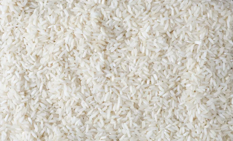rice top view background