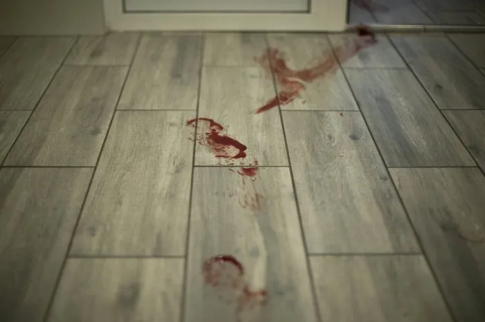 bloody trail on floor blood in apartment red footprint on floor dirt in hallway
