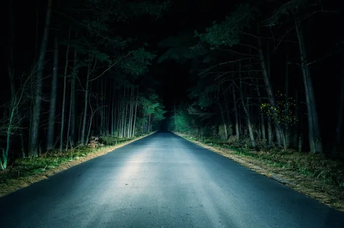 paved road going through woods at night