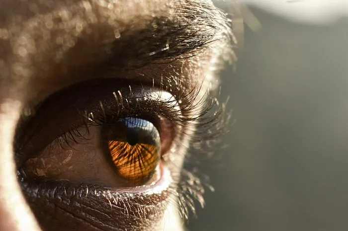 closeup of man eye-india