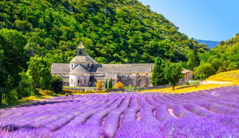 senanque abbey gordes provence lavender fields notre-dame de senanque, blooming purple-blue lavender fields luberon france europe high quality photo