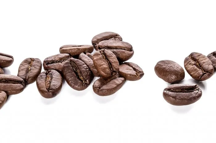 coffee beans isolated