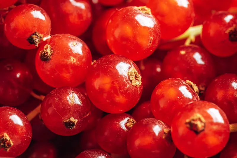 beautiful blue satin ribbon with bow isolated on white