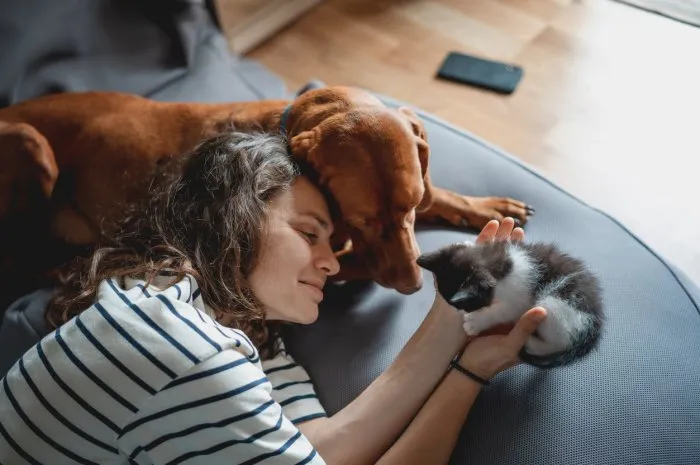 portrait of a young woman with a hungarian pointer dog and a small kitten in her arms lying at home in a room on a bag chair