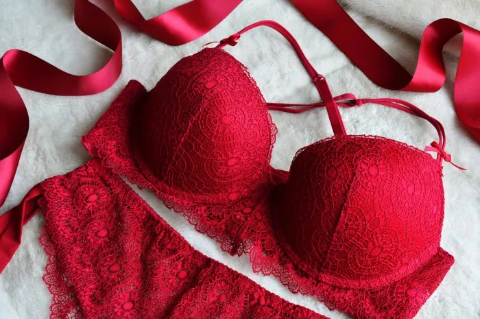 women's lace sexy underwear of red, wine color  bra and panties