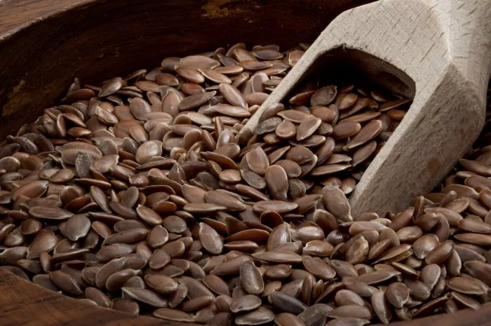 vegetarian foods high in protein, fiber rich diet and healthy source of antioxidants concept with macro close up photograph of flax seeds in wood scoop