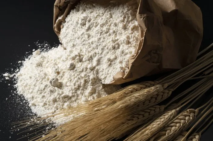 flour and ears of wheat on a black background close-up, bread concept