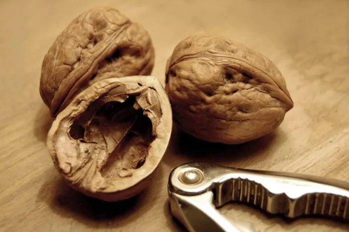 walnuts and nutcrackers