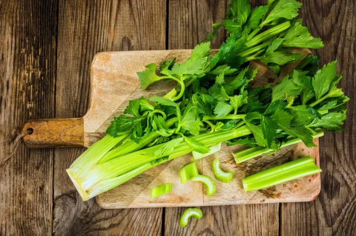bunch of fresh celery stalk with leaves studio photo