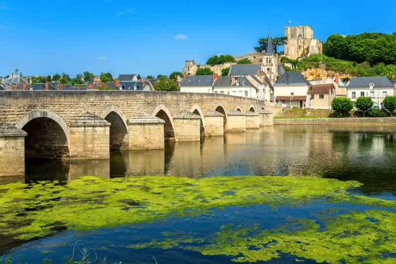 montrichard medieval old town with stone bridge, castle and church, on cher river in loire valley, france