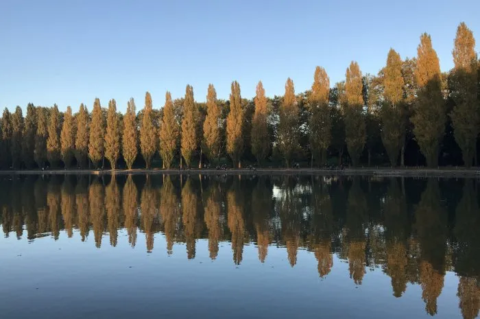a sunny winter day at sceaux parc with tree reflexion in the water
